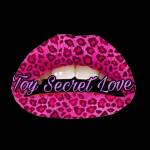 Toy Secret Love Sexshop virtual Perú Profile Picture