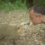 Alfonso Chalar Profile Picture