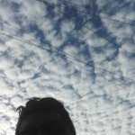 Antony Marin Profile Picture