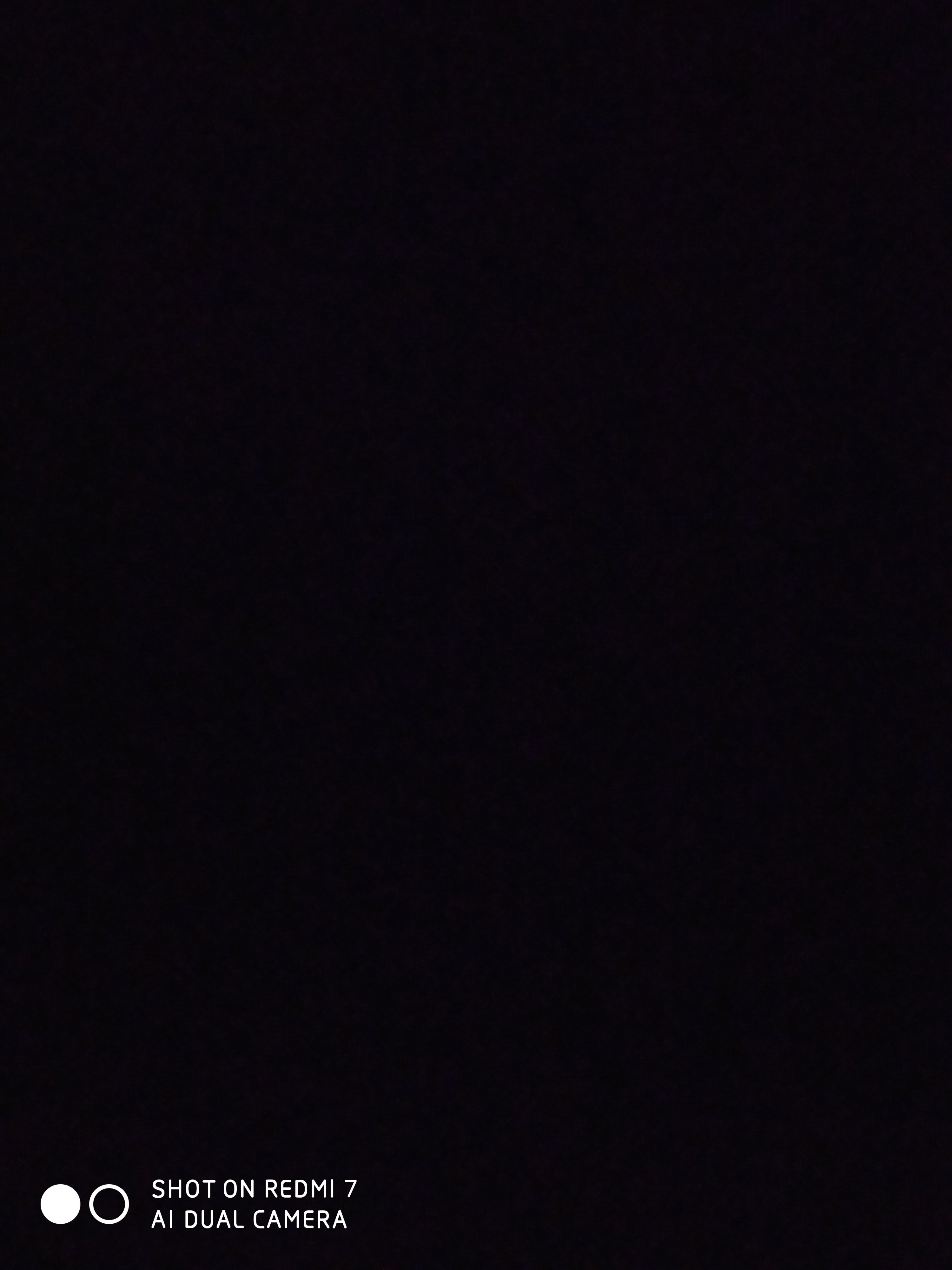 S Profile Picture