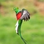 Baruck Fuentes Profile Picture