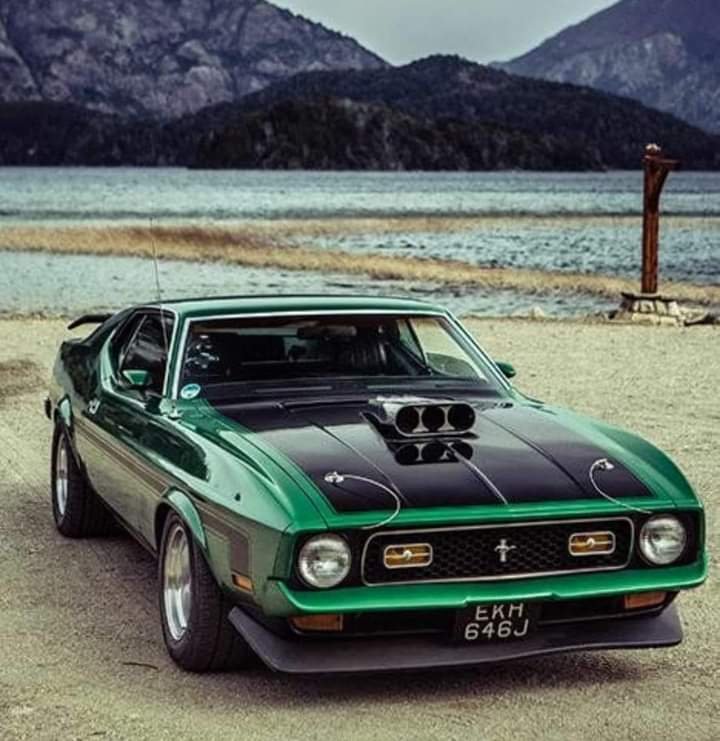 Christian1331 Profile Picture