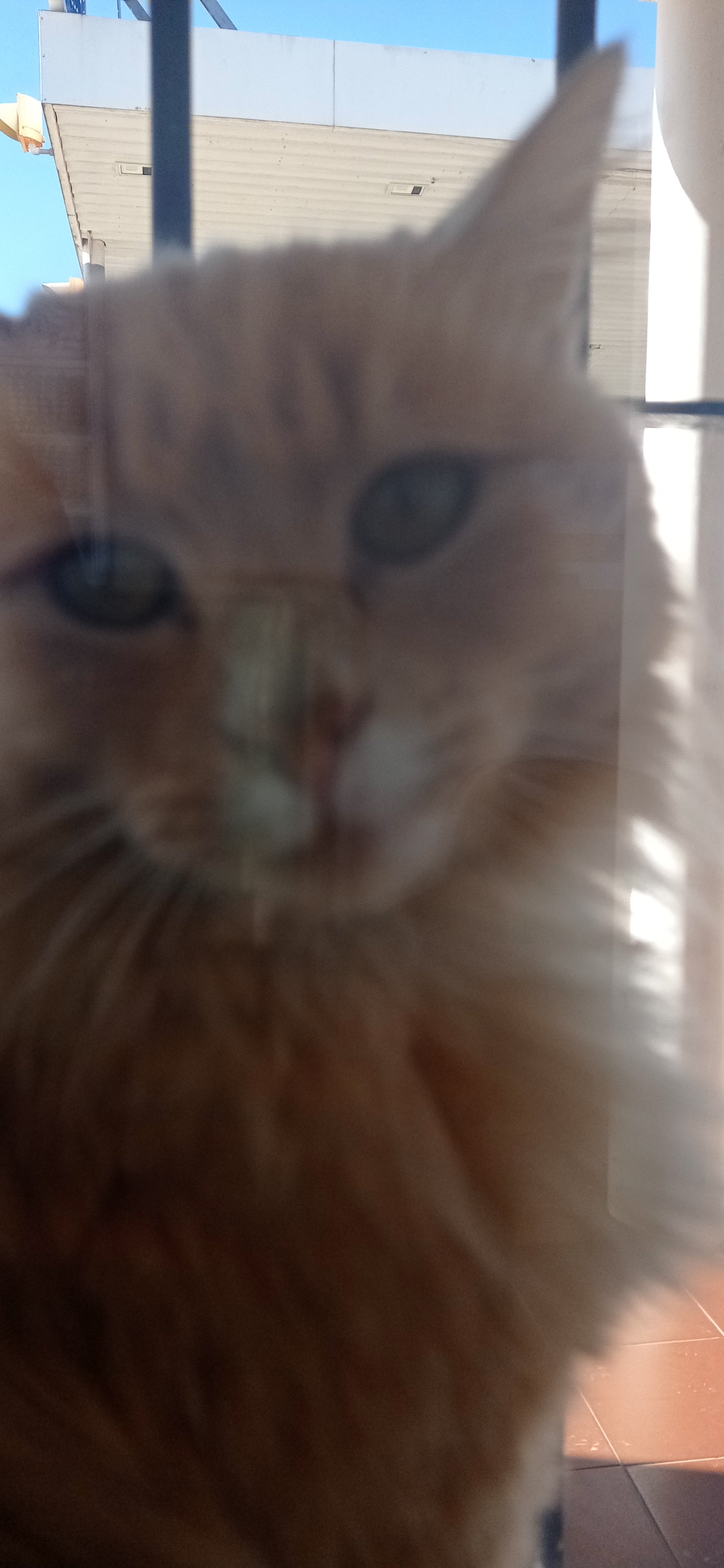 Lucho Profile Picture