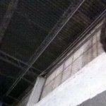 Dany Martin Profile Picture