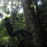 Enrique Pantoja Profile Picture