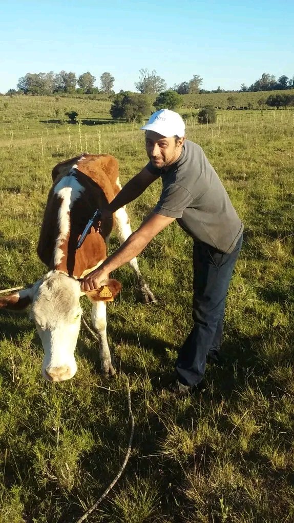 Alex Hernandez Profile Picture