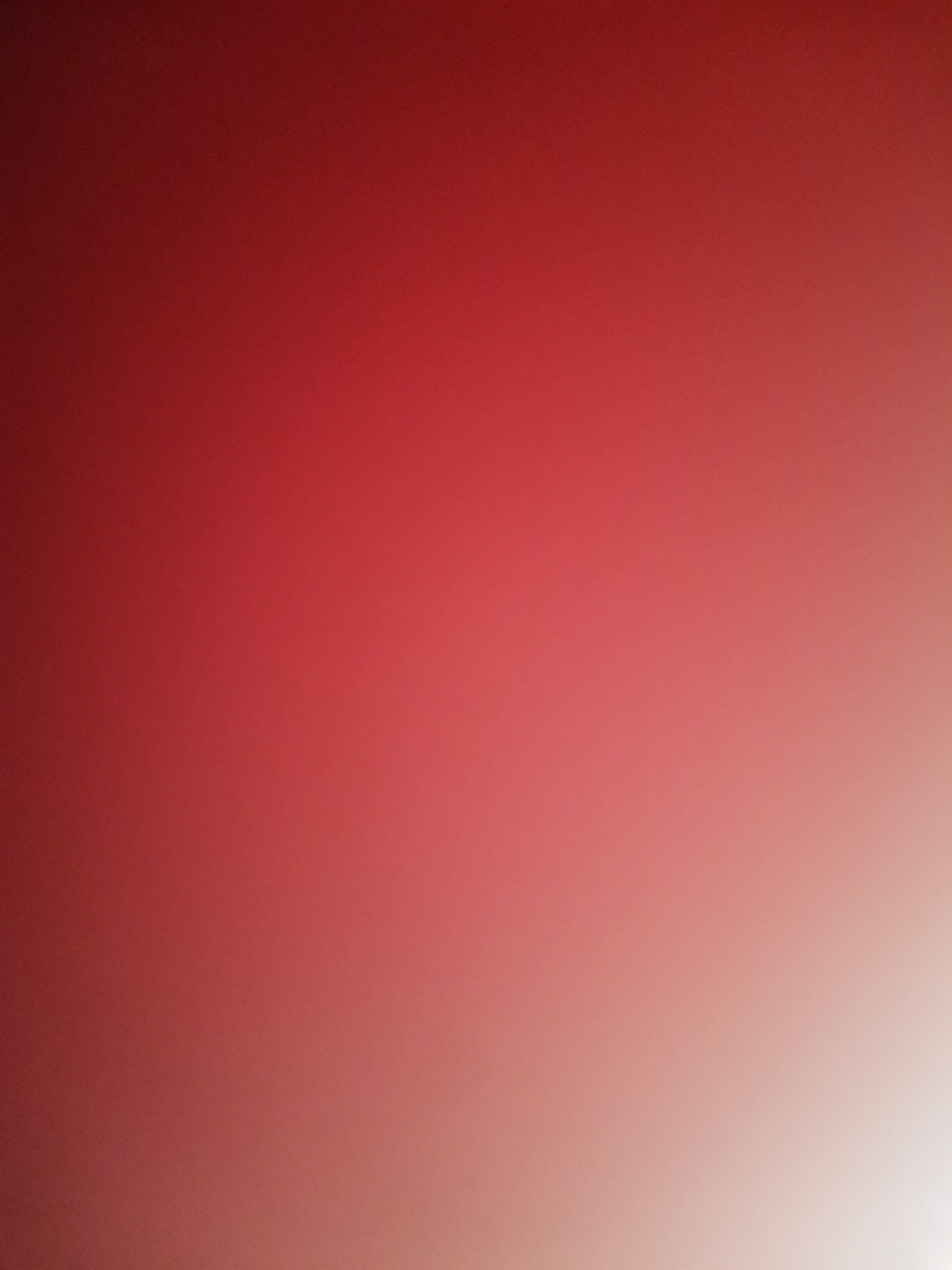 Marcelo Sosa Profile Picture