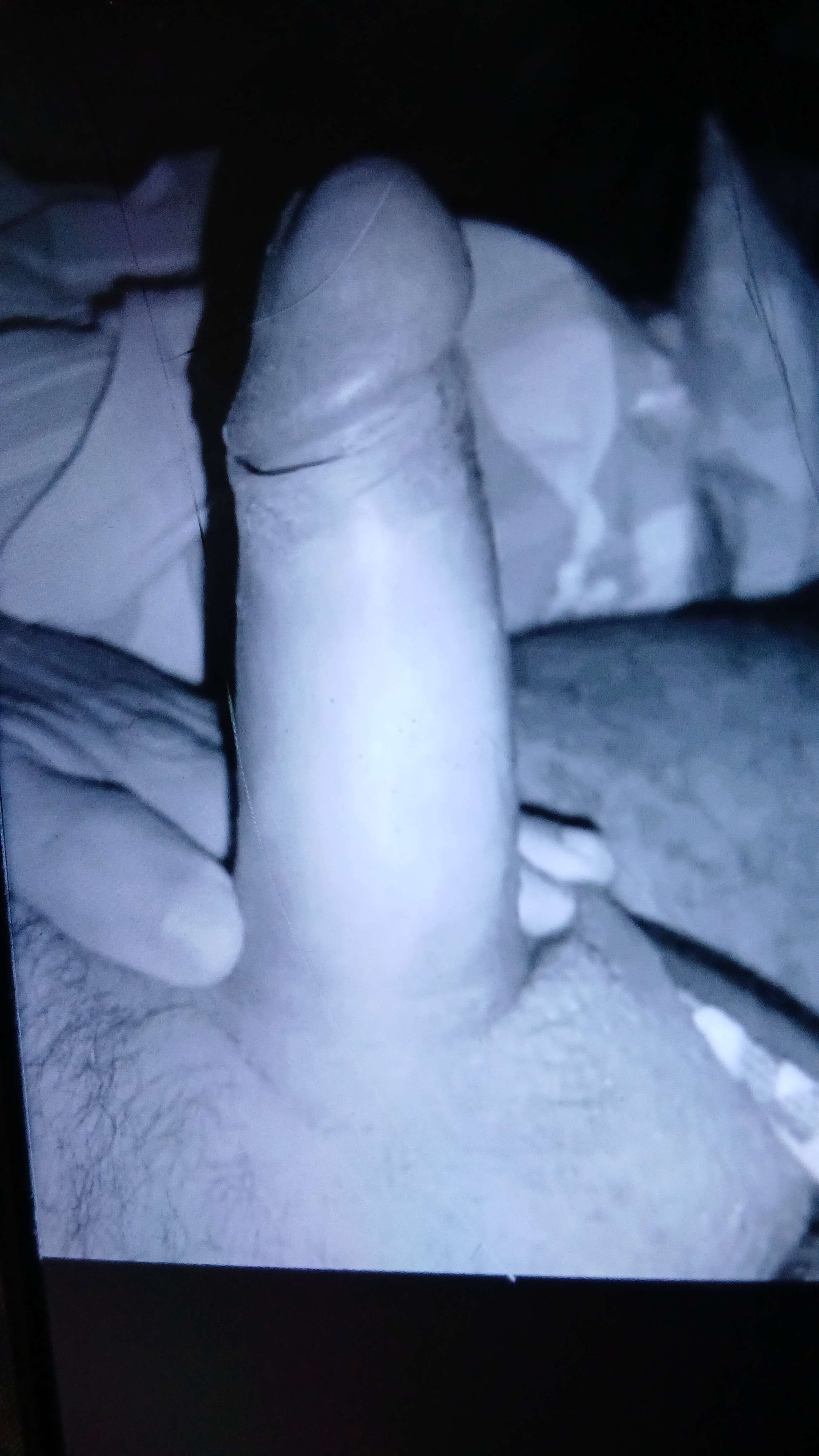 Sergio Profile Picture