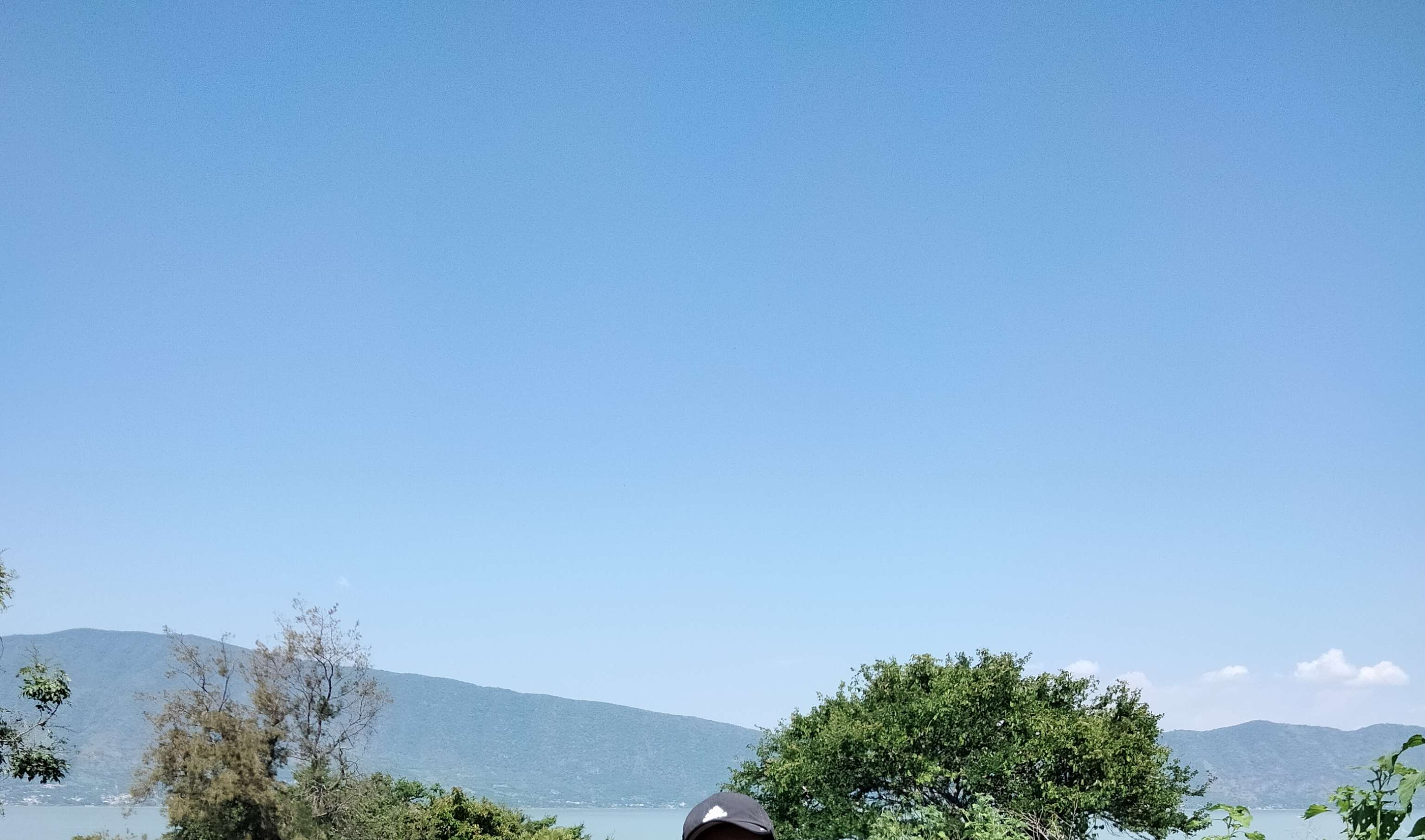 Luis Fernández Profile Picture