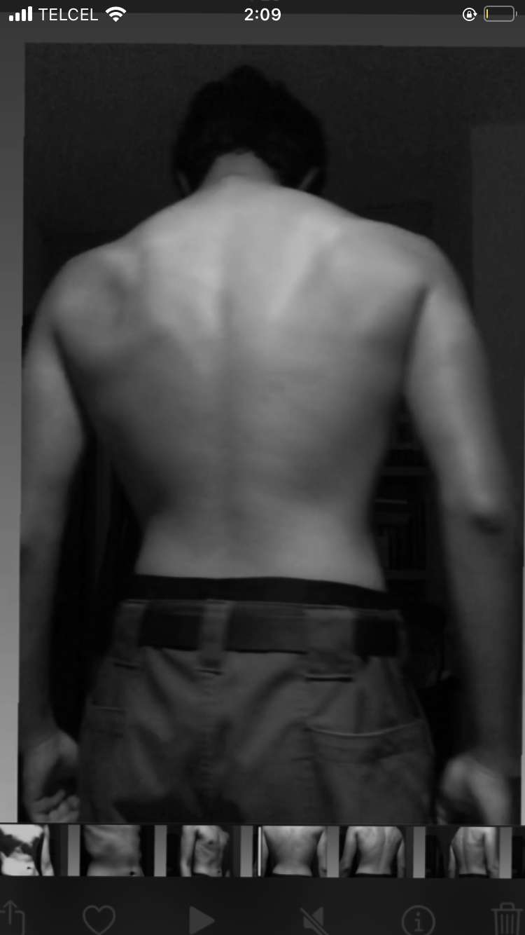 Elgrasoso Profile Picture