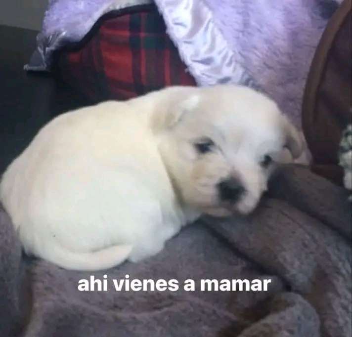 Yair García Profile Picture