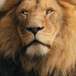 Jim Profile Picture