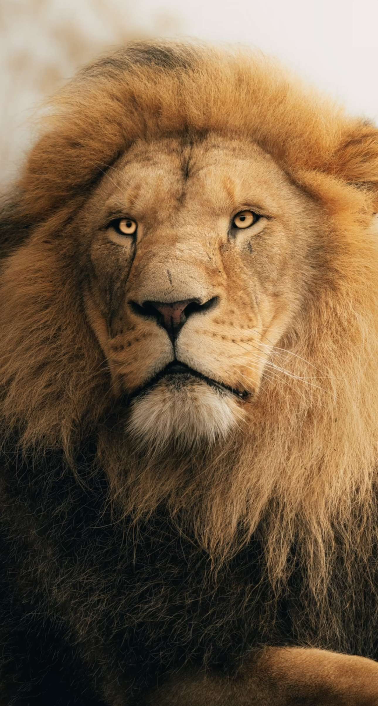 Jim Profile Picture