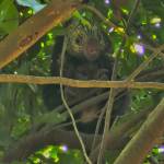 José Antonio Profile Picture