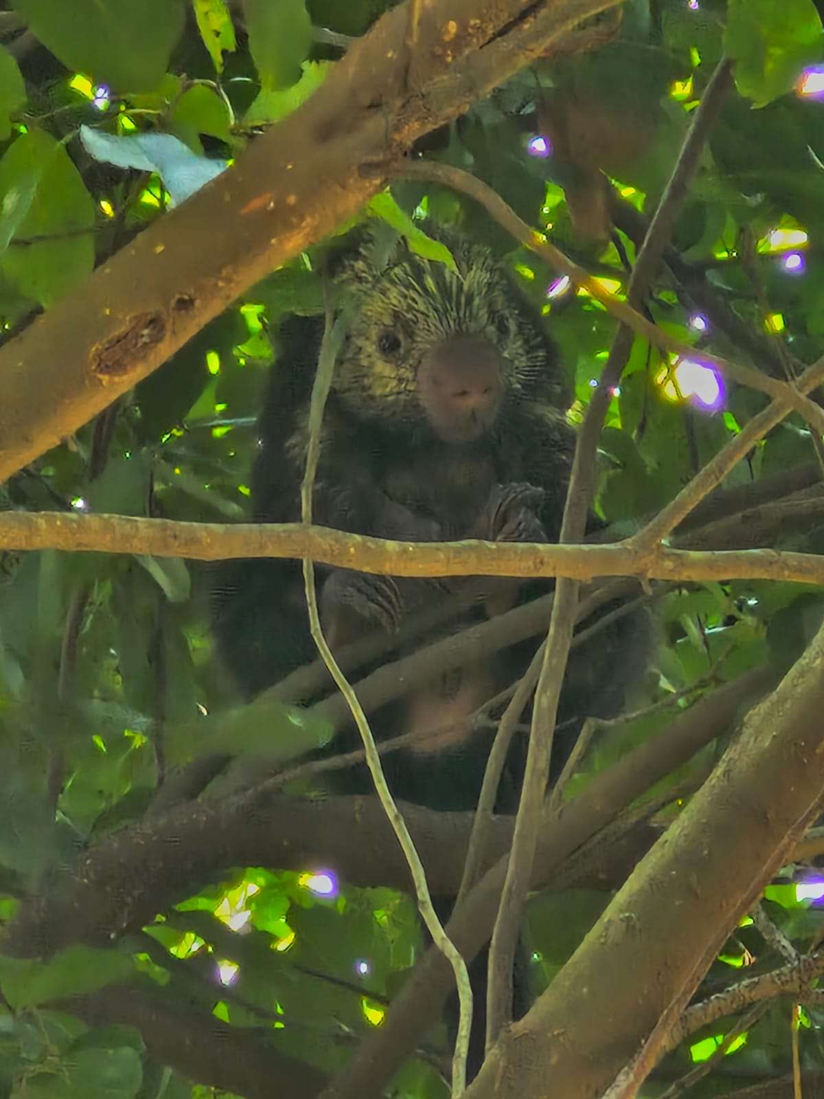 José Antonio Profile Picture