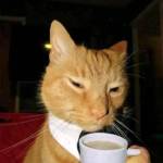 Joel Antonio Profile Picture