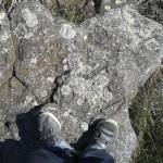 Activo Pervertido Profile Picture