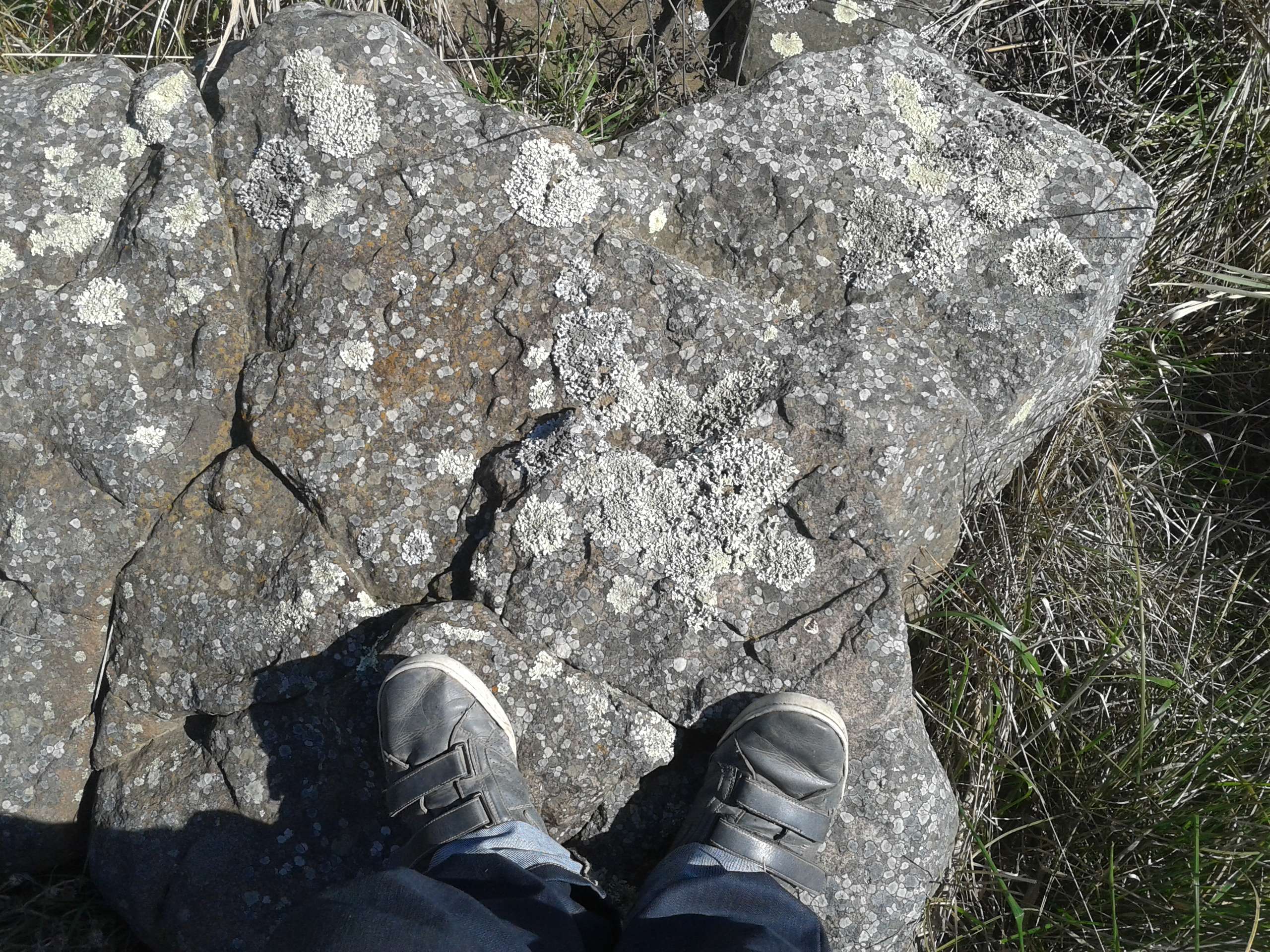 Activo Pervertido Profile Picture