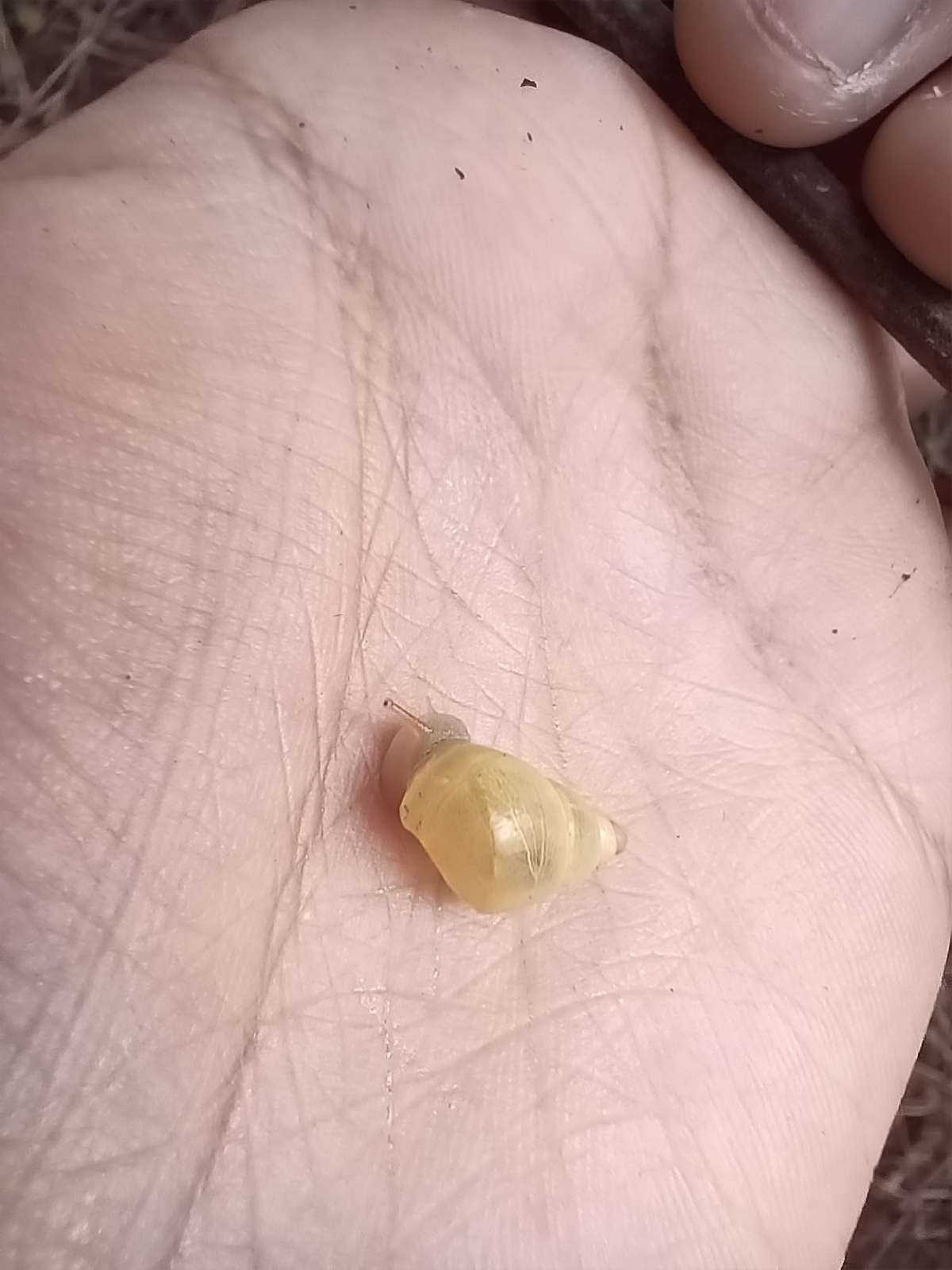 Esther Martínez Profile Picture