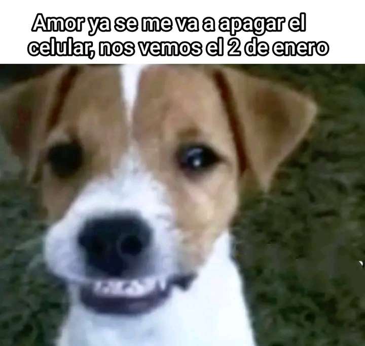 Grupo fronte Profile Picture