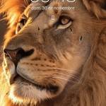 Universal_1337 Profile Picture