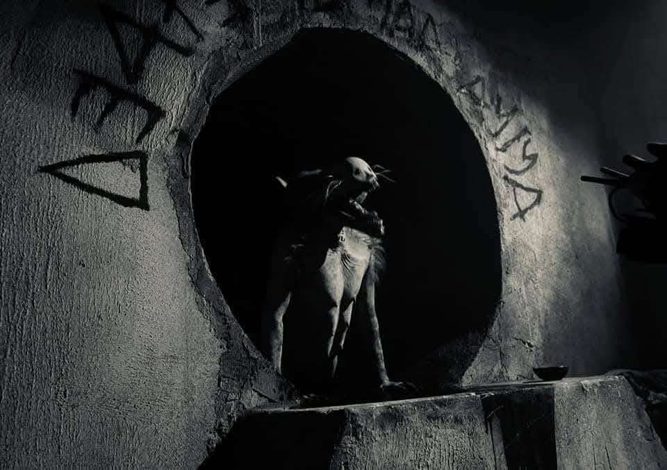 Jhony Rivero Profile Picture