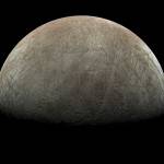 TeamPoisoN Profile Picture