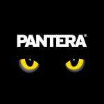 Panterapy Profile Picture